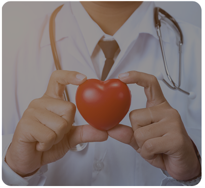Doctor holding a red heart model